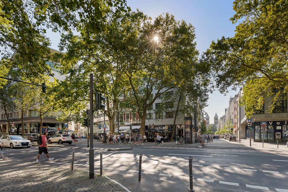 Belebte Straßenecke mit Fußgängern, Autos und großen Bäumen im Sommer.