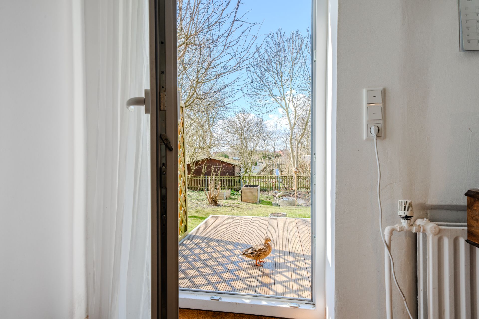 Blick aus einer offenen Tür auf eine Terrasse mit einer Ente, dahinter Garten und Bäume.