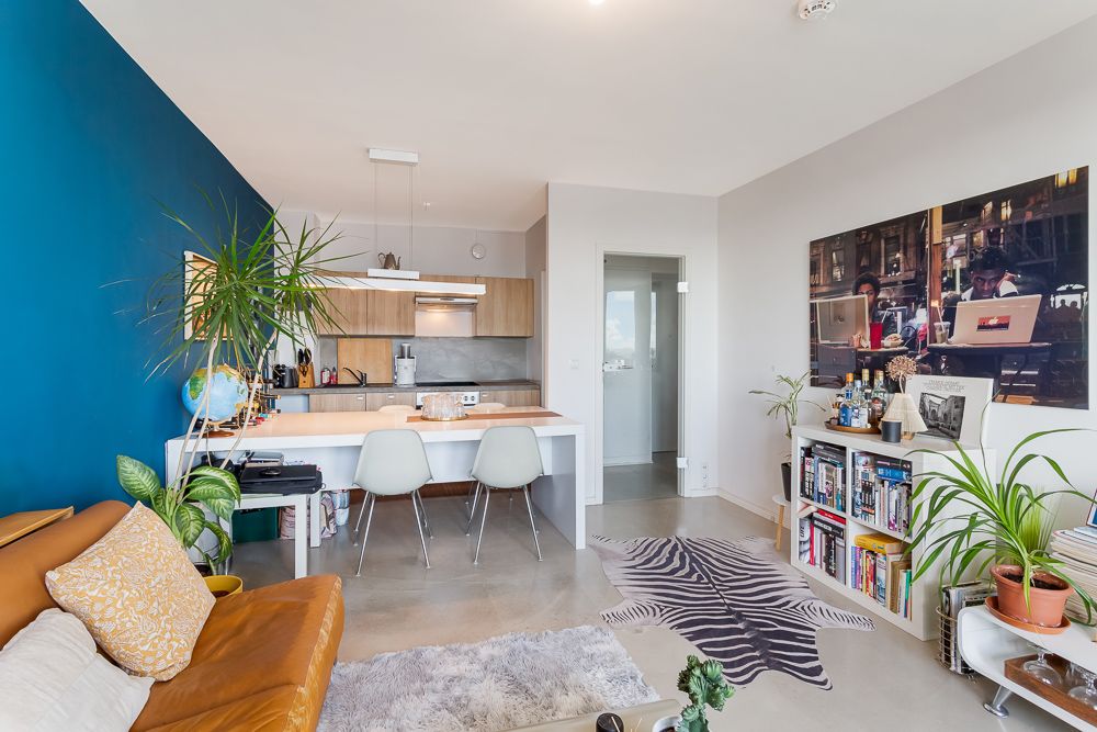Modernes Wohnzimmer mit offener Küche, blauer Wand, Pflanzen und Teppich in Zebraoptik.