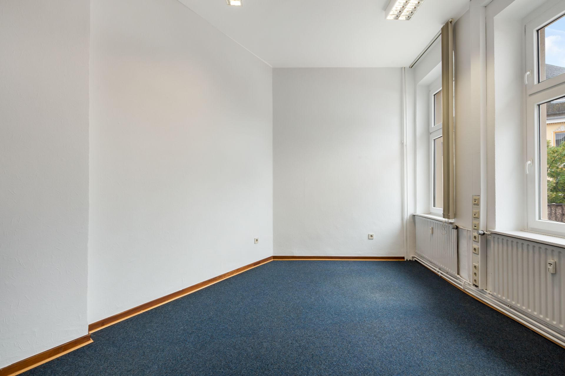 Leerer Raum mit blauem Teppich, weißen Wänden und drei großen Fenstern.
