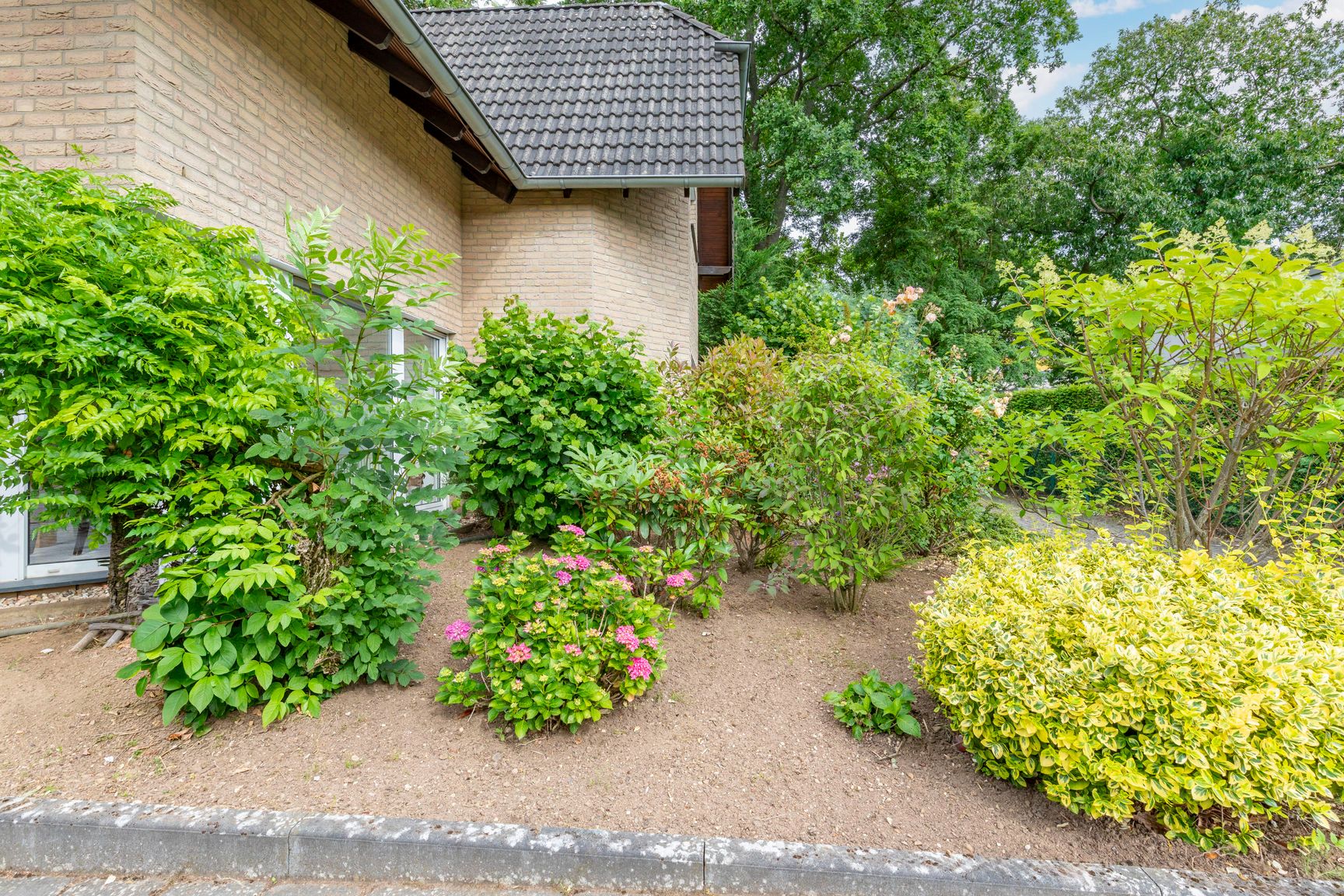 Gepflegtes Beet mit verschiedenen Sträuchern und Blumen vor einem Haus mit heller Fassade.
