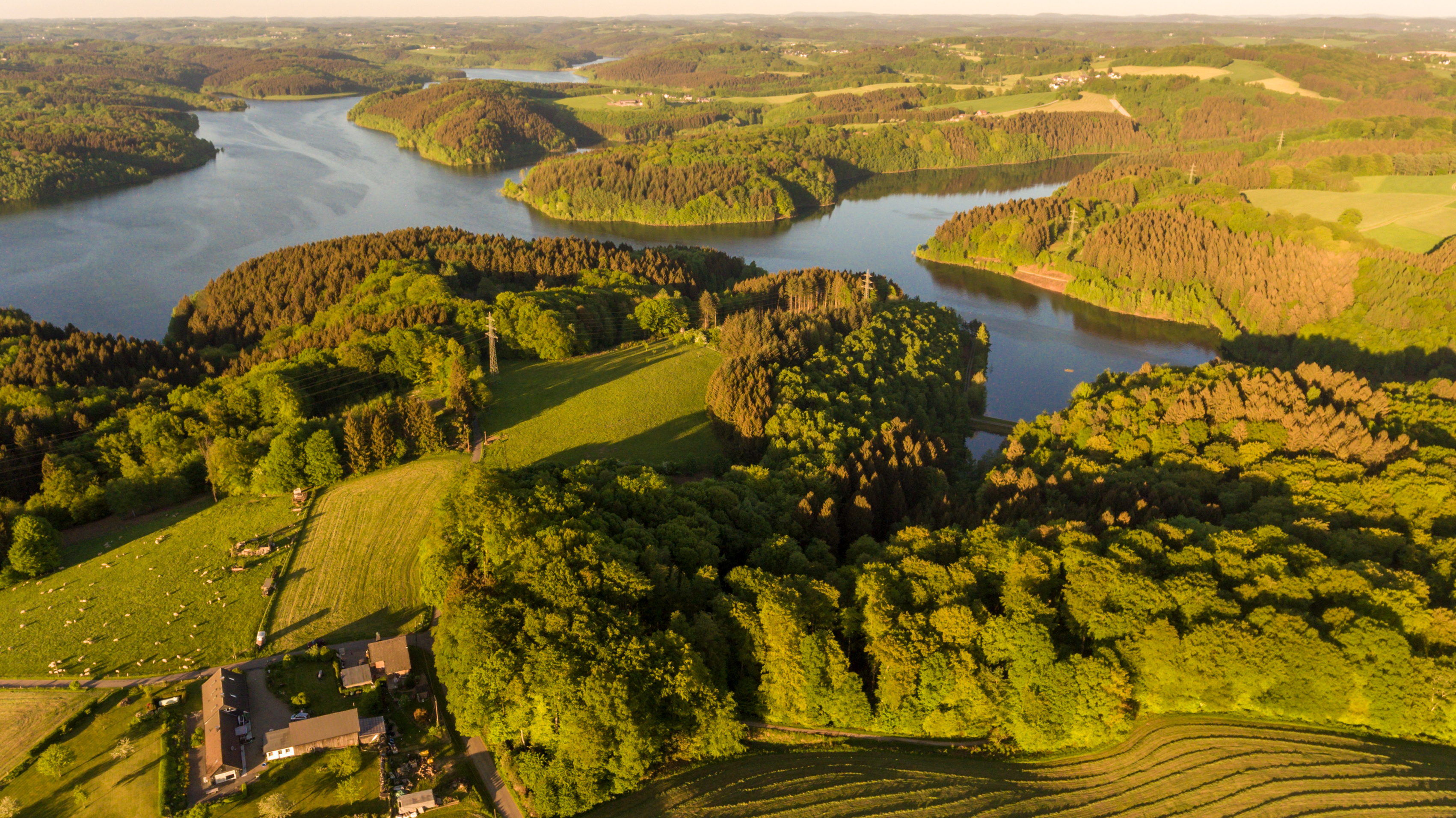 Luftaufnahme einer grünen Landschaft mit Wald, See und einigen Häusern am Bildrand.