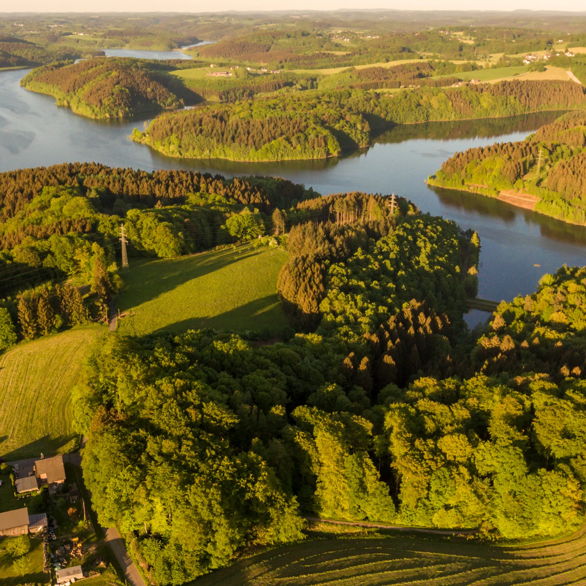 Luftaufnahme einer grünen Landschaft mit Wald, See und einigen Häusern am Bildrand.