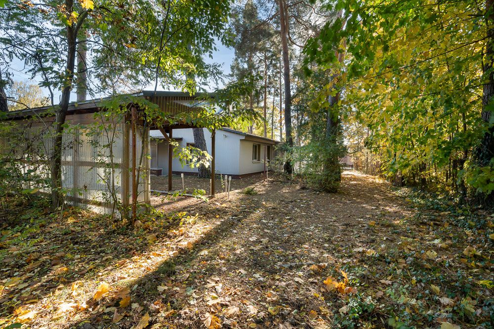 Einfamilienhaus im Wald mit Laub am Boden und Sonnenlicht durch die Bäume.