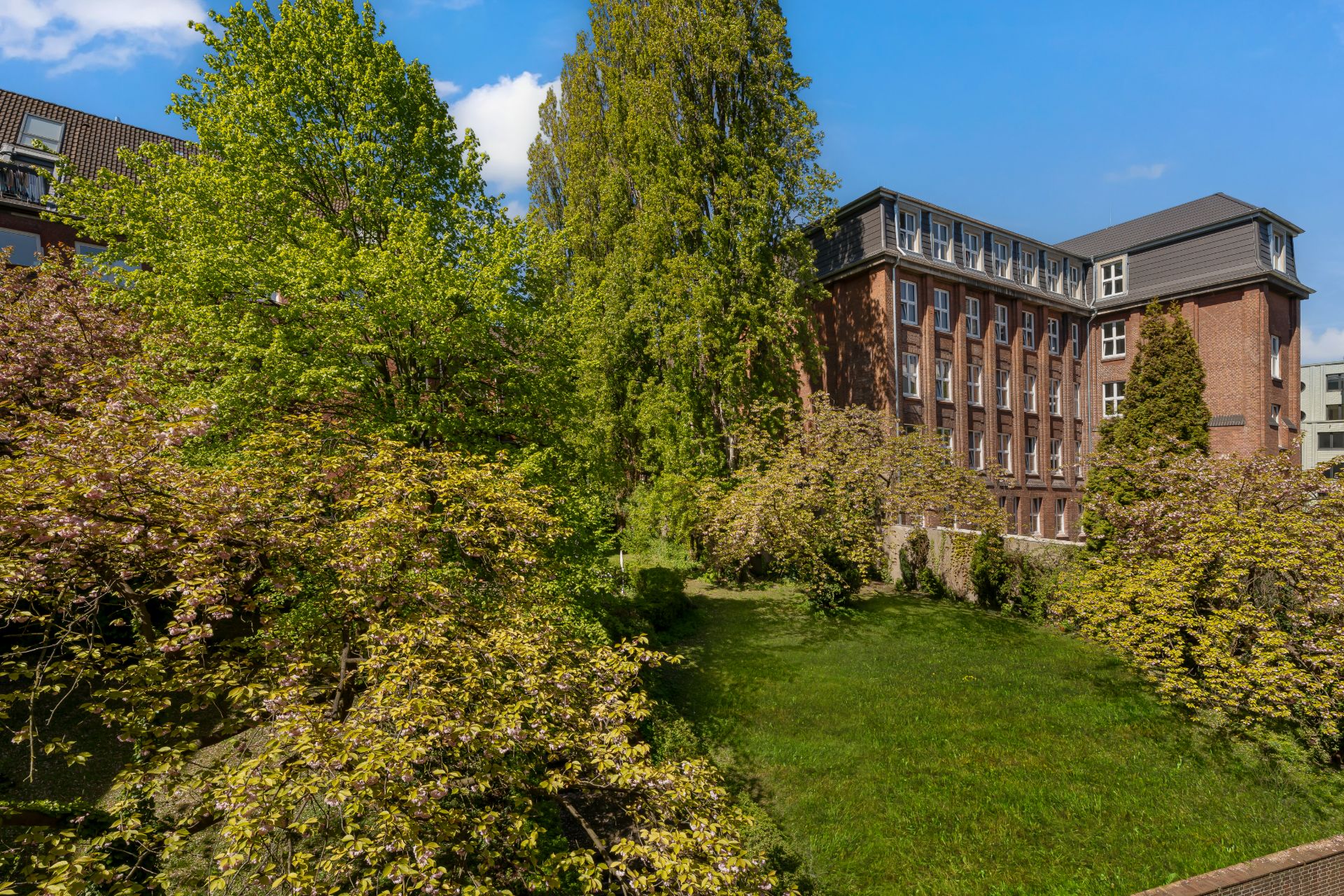 Grüner Garten mit Bäumen vor einem mehrstöckigen Backsteingebäude im Wohngebiet.