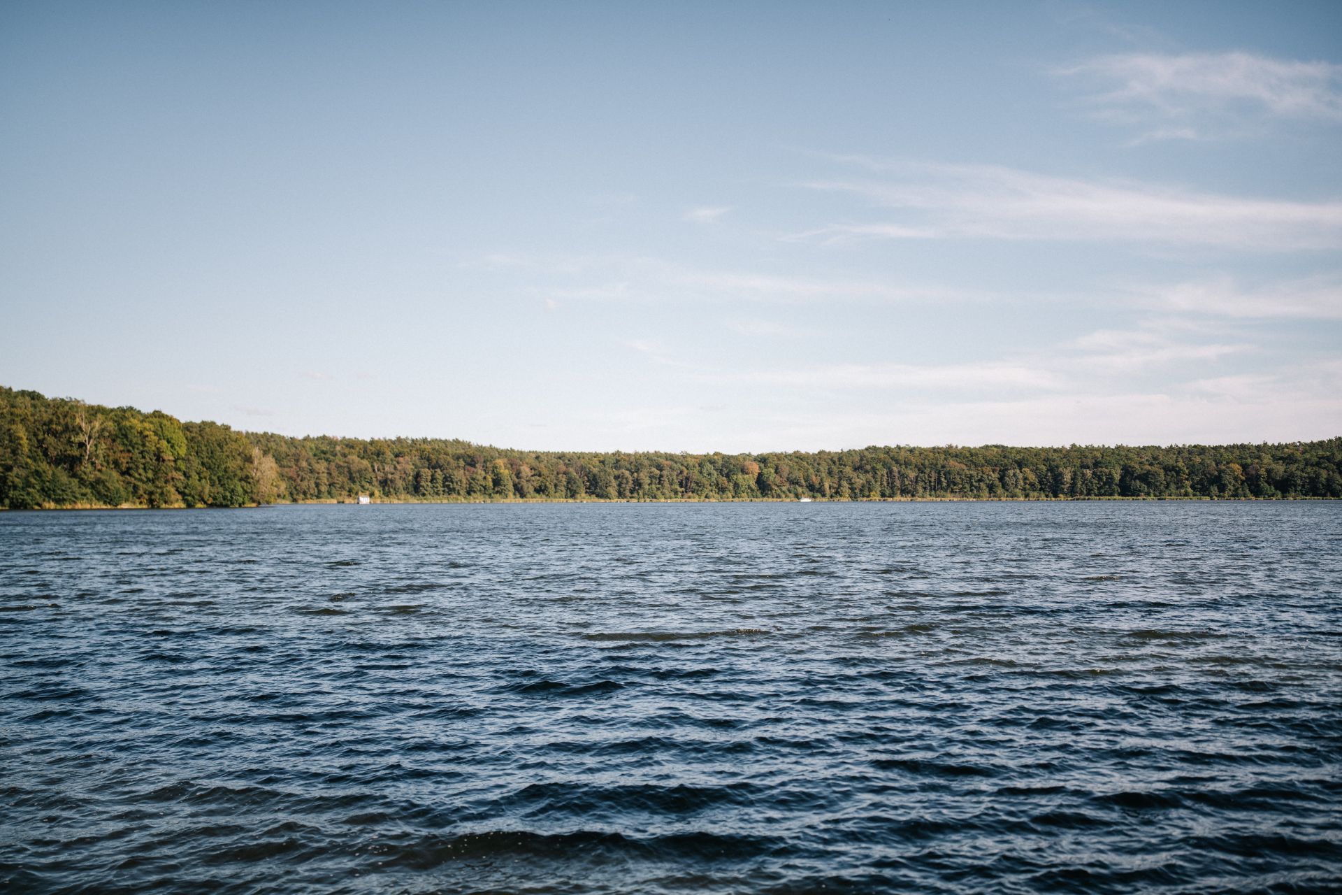 Blick auf einen ruhigen See mit Bäumen am Ufer unter blauem Himmel.