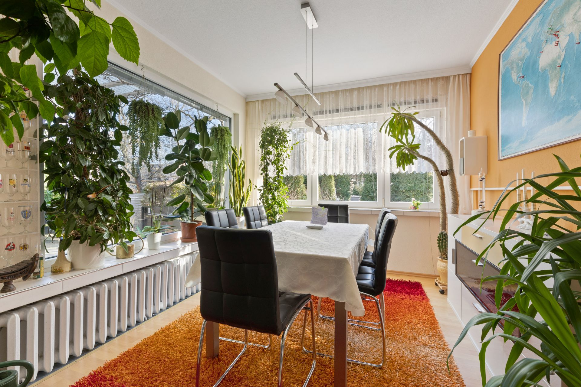 Esszimmer mit Tisch, vier schwarzen Stühlen, vielen Pflanzen und großen Fenstern.