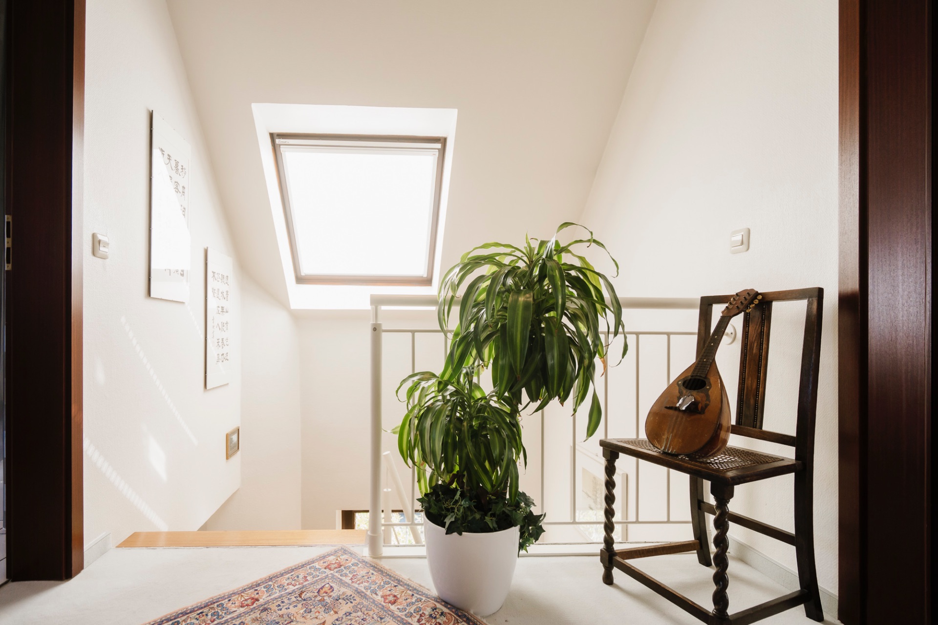Heller Flur mit großem Fenster, Pflanze im Topf, Teppich und Stuhl mit Saiteninstrument.