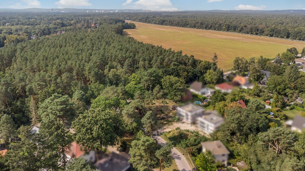 Luftaufnahme von Wohnhäusern am Waldrand mit großer Wiese und vielen Bäumen.