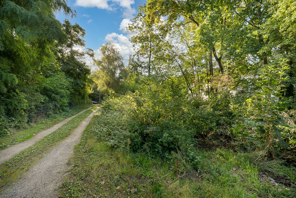 Schmaler Kiesweg führt an dicht bewachsenen Büschen und Bäumen entlang.