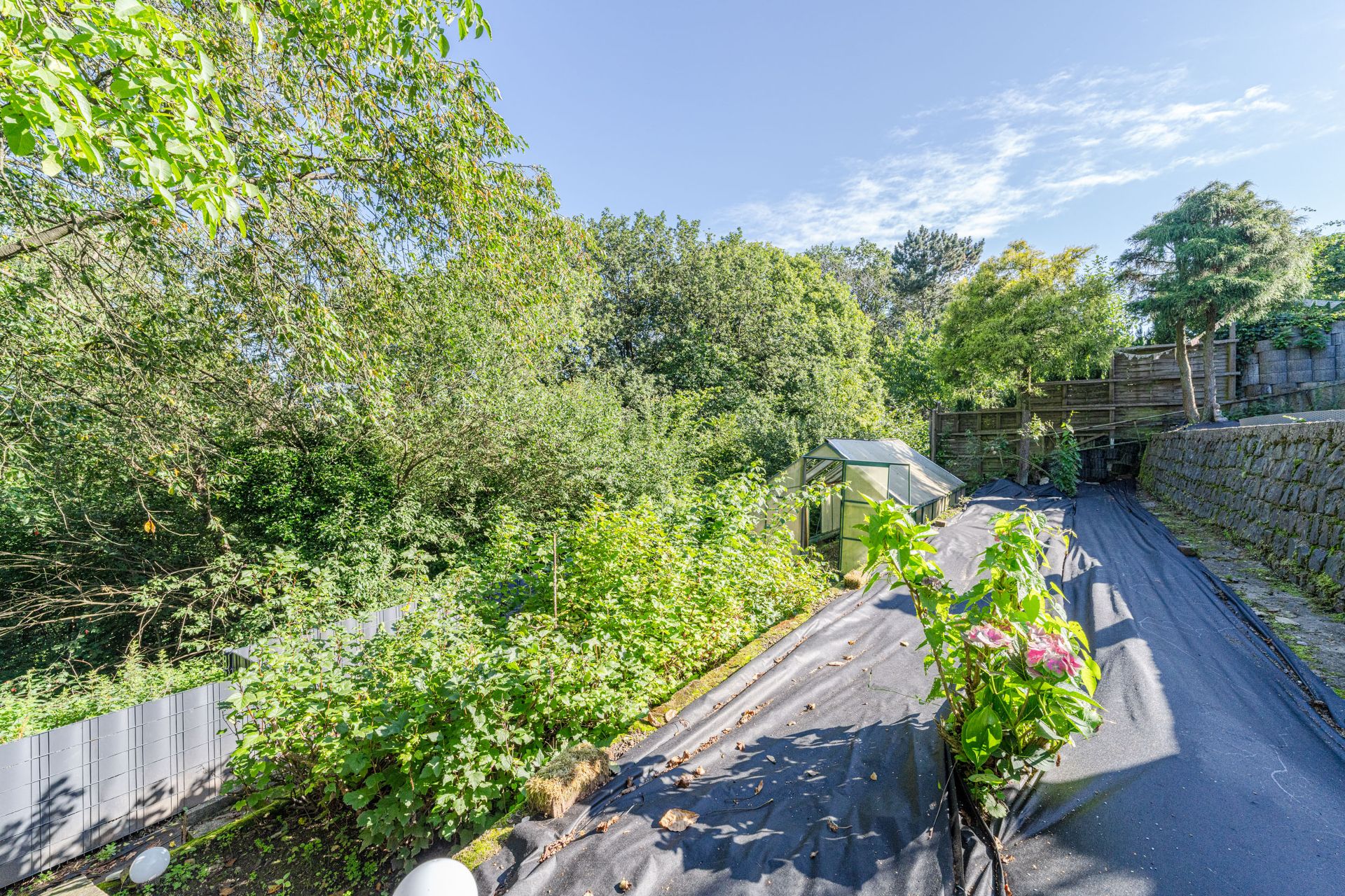 Garten mit vielen Büschen, einem kleinen Gewächshaus und einer Steinmauer bei sonnigem Wetter.