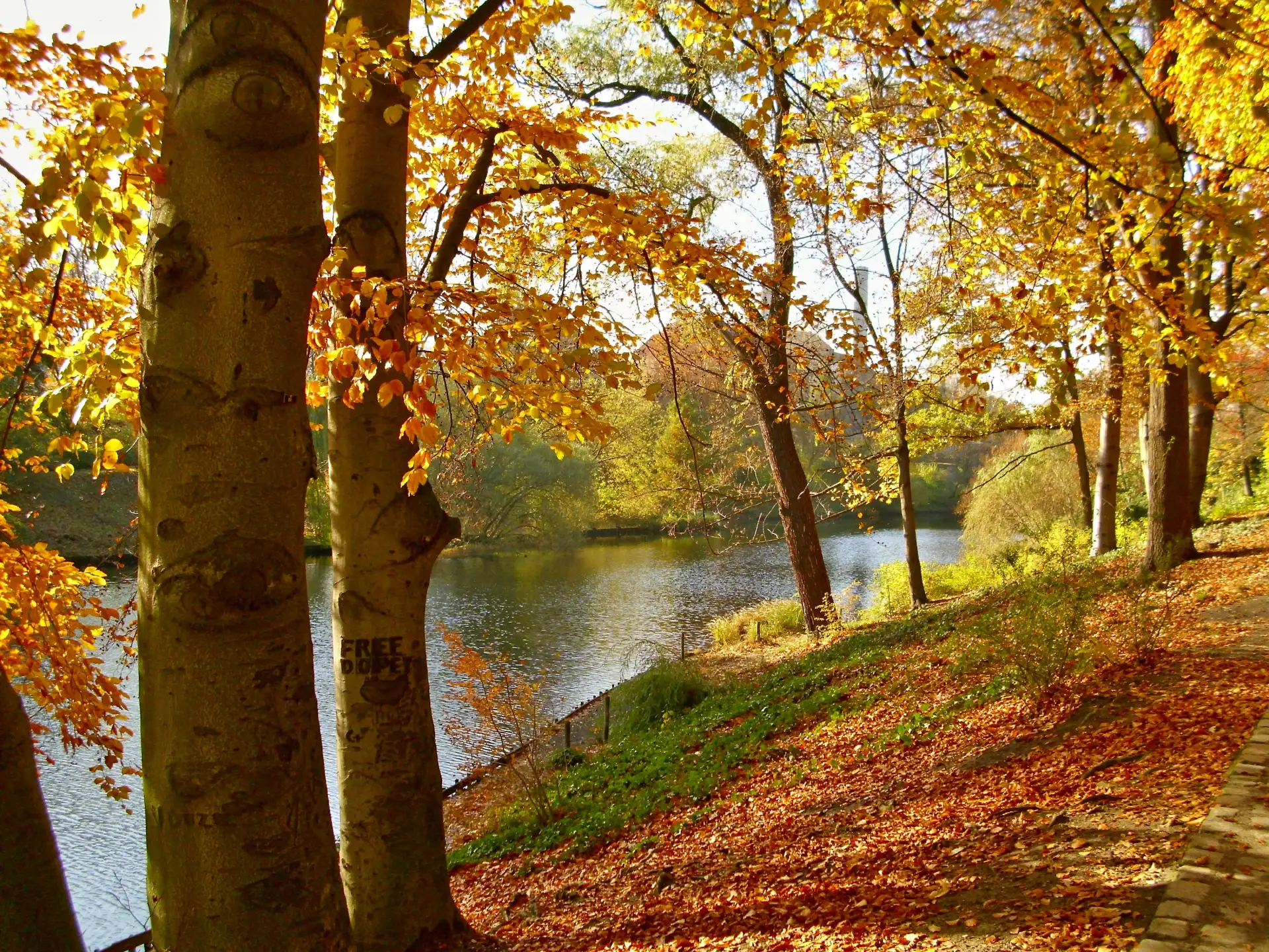 Berlin Wilmersdorf Volkspark Wilmersdorf Copyright: pixelio/Karl-Heinz Liebisch