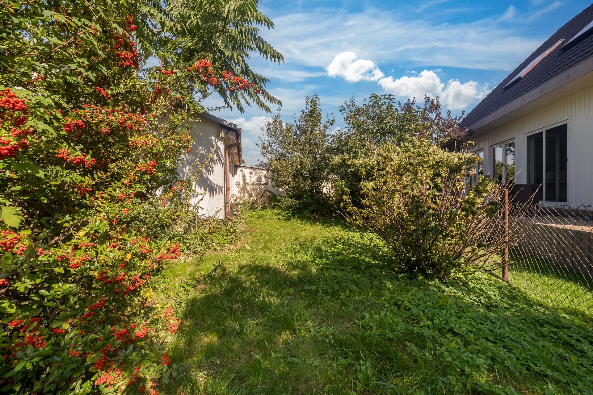 Garten mit grünem Rasen, Büschen mit roten Beeren und angrenzendem Wohnhaus bei Sonnenschein.