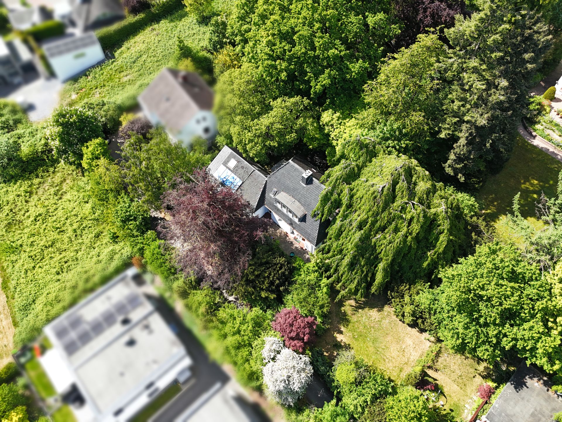 Luftaufnahme eines Hauses mit Garten, umgeben von vielen Bäumen und Grünflächen.