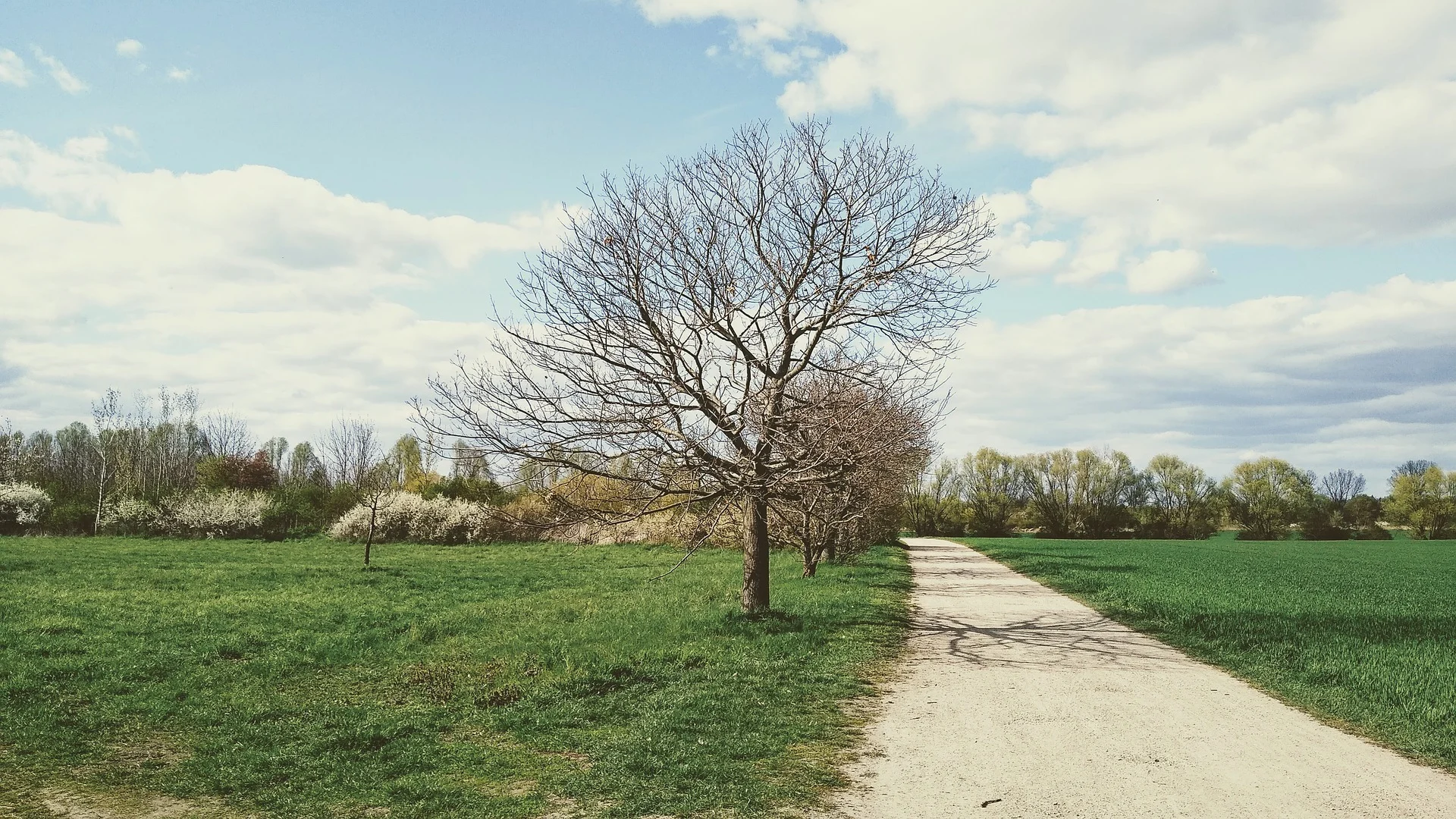 Berlin Franzsösisch-Buchholz Spazierweg zum Wald, Copyright: Christopher Winkler auf Pixabay