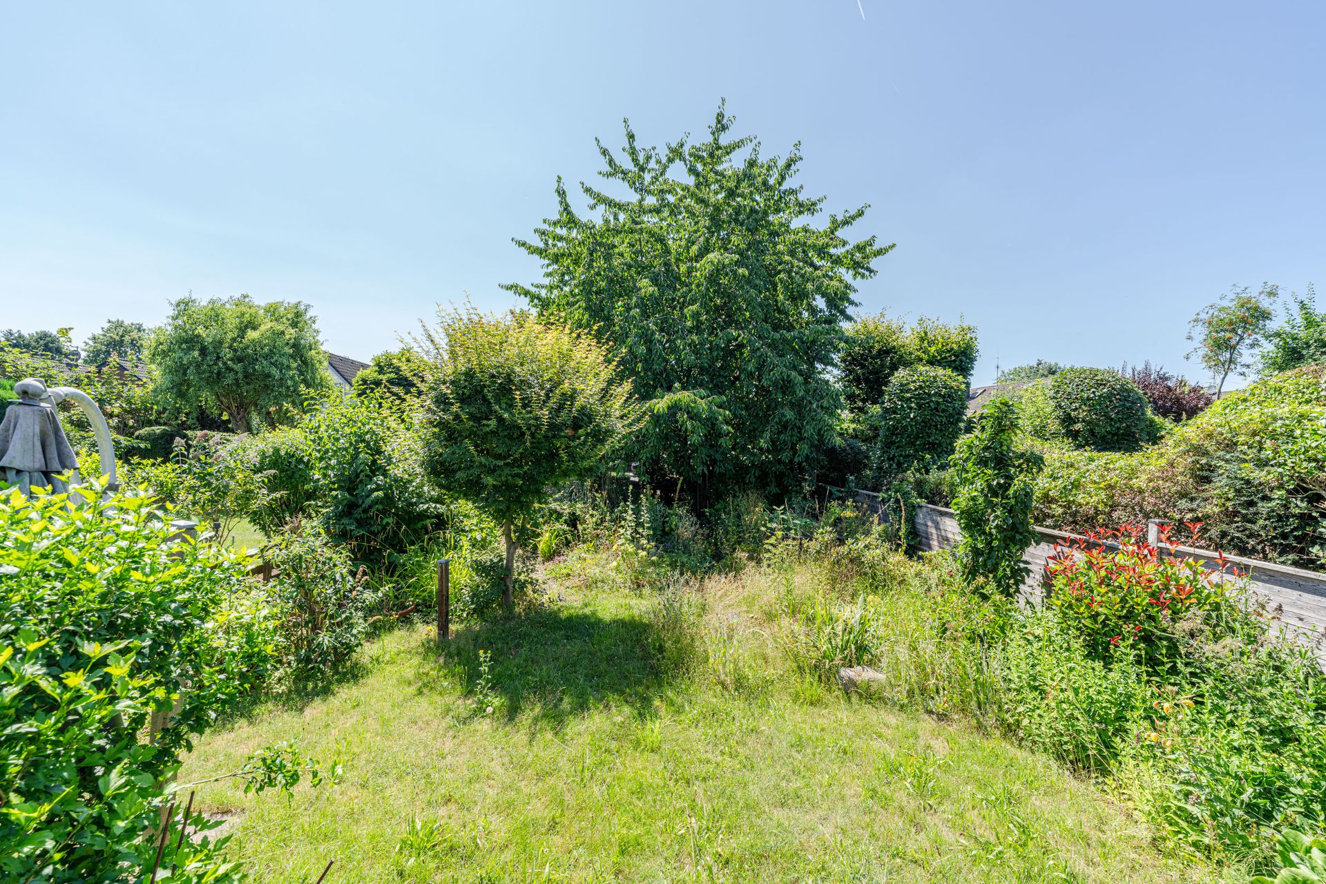 Grüner Garten mit Rasenfläche, Büschen und mehreren Bäumen an einem sonnigen Tag.