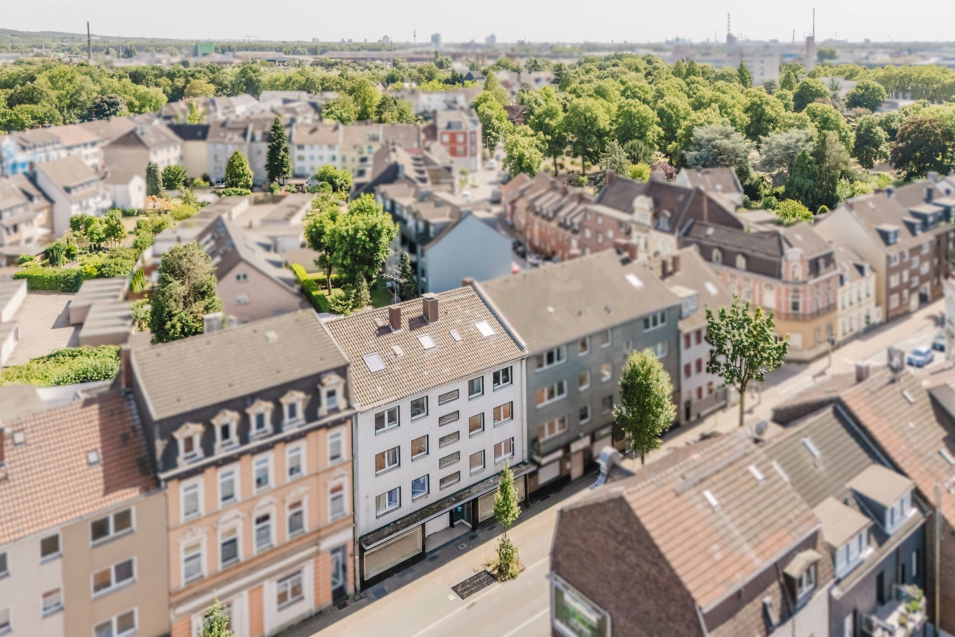 Luftaufnahme von Wohnhäusern mit roten und grauen Dächern an einer Baumallee.