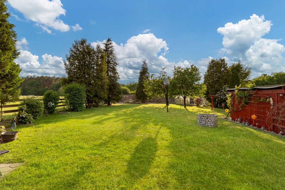 Grüner Garten mit Bäumen, Zaun und kleinem roten Schuppen an einem sonnigen Tag.