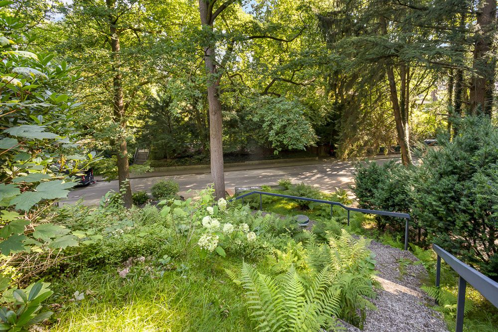 Grüner Garten mit Farnen und Sträuchern, Metallgeländer, Blick auf eine Straße und Bäume.