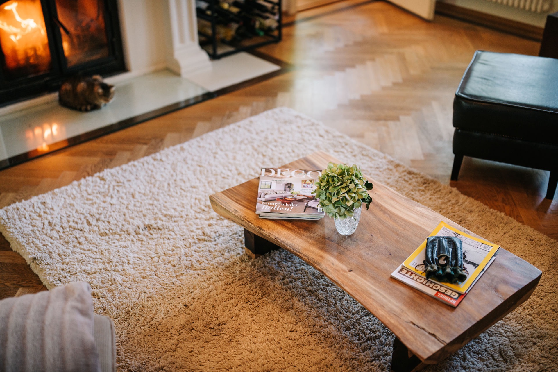 Wohnzimmer mit Kamin, Holz-Couchtisch, Zeitschriften und Pflanze auf hellem Teppich.