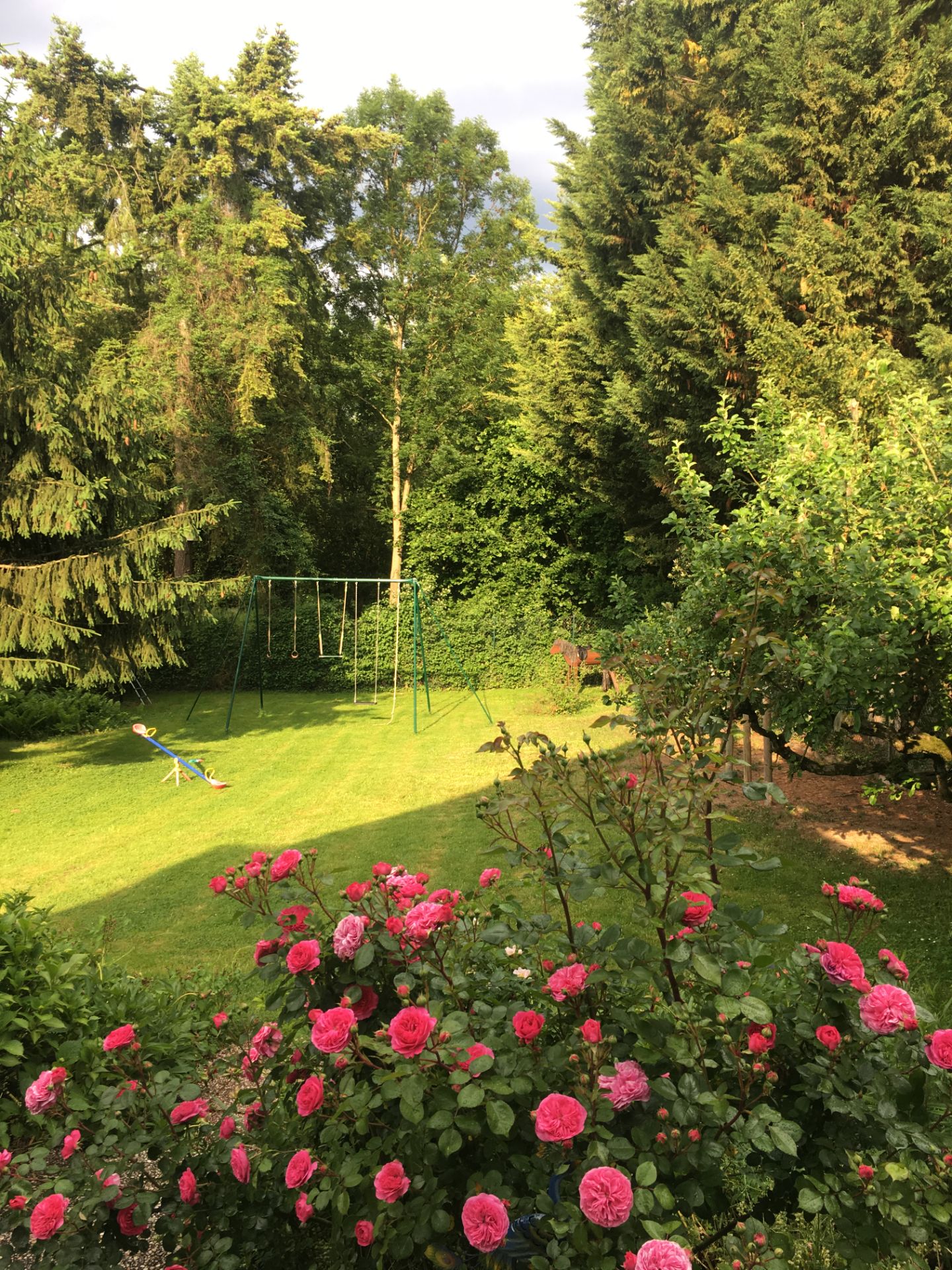 Garten mit blühenden Rosen, Schaukelgestell und Wippe, umgeben von großen Bäumen.