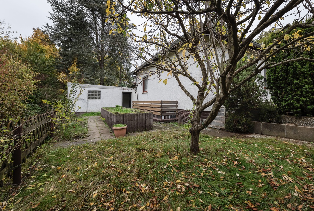 Garten mit Rasen, Baum, Pflanzkübel und Blick auf ein weißes Gebäude mit Terrasse.