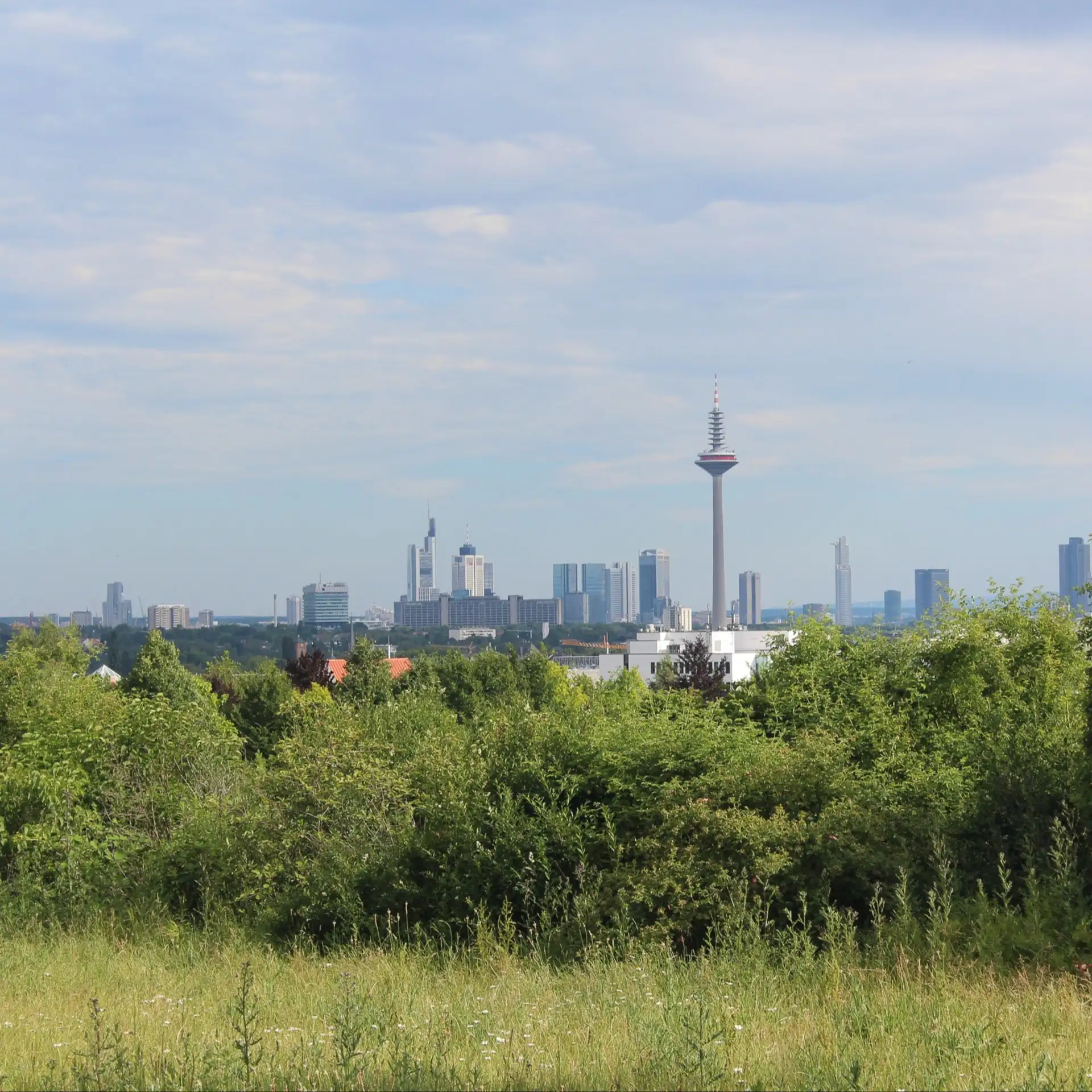Blick über eine grüne Wiese und Büsche auf eine Großstadt mit Hochhäusern und Fernsehturm.