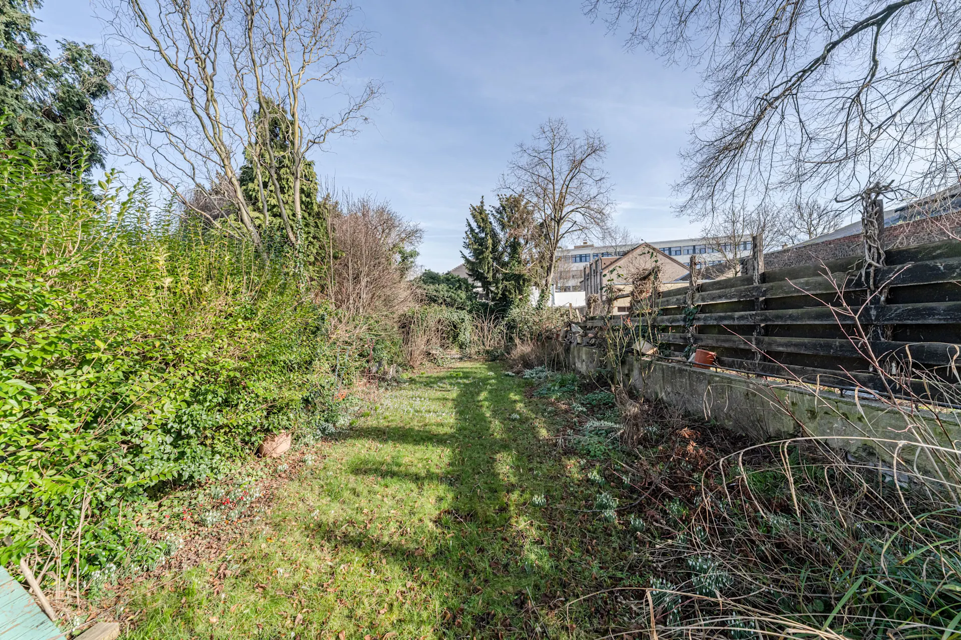 Langer Garten mit Rasenfläche, Bäumen, Sträuchern und Holzzaun an der rechten Seite.