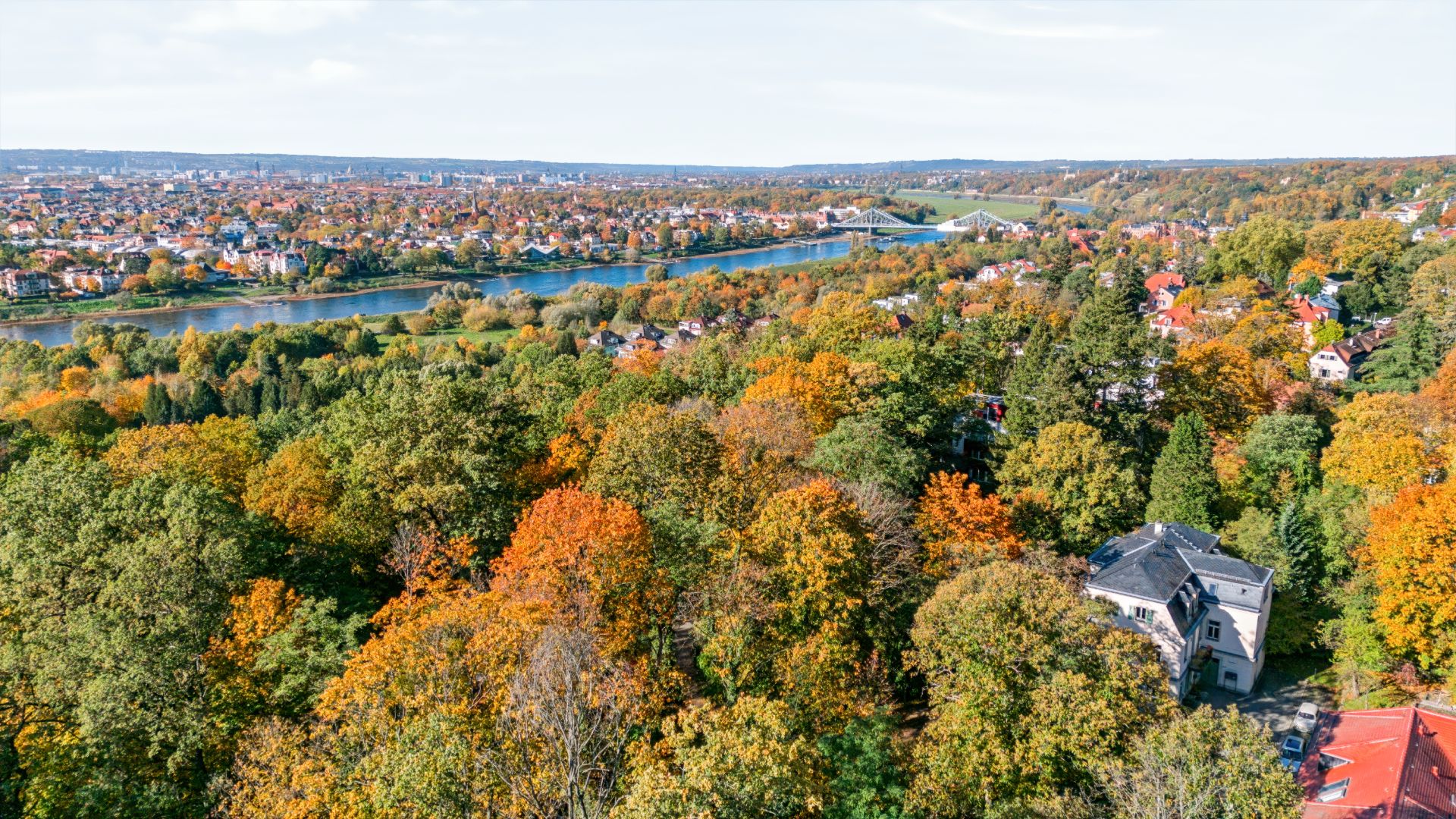 Blick auf herbstlichen Wald mit Häusern und Fluss im Hintergrund.