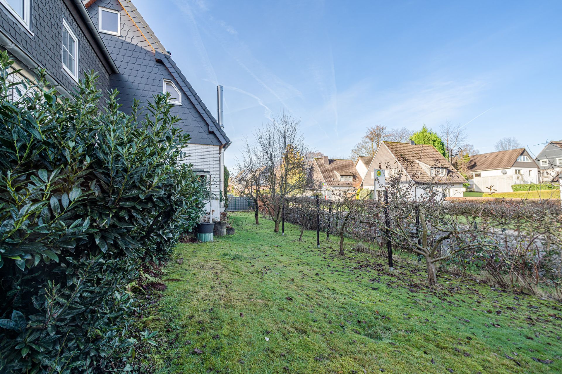 Garten mit Rasen, Büschen und jungen Bäumen an einem Wohnhaus, Nachbarhäuser im Hintergrund.