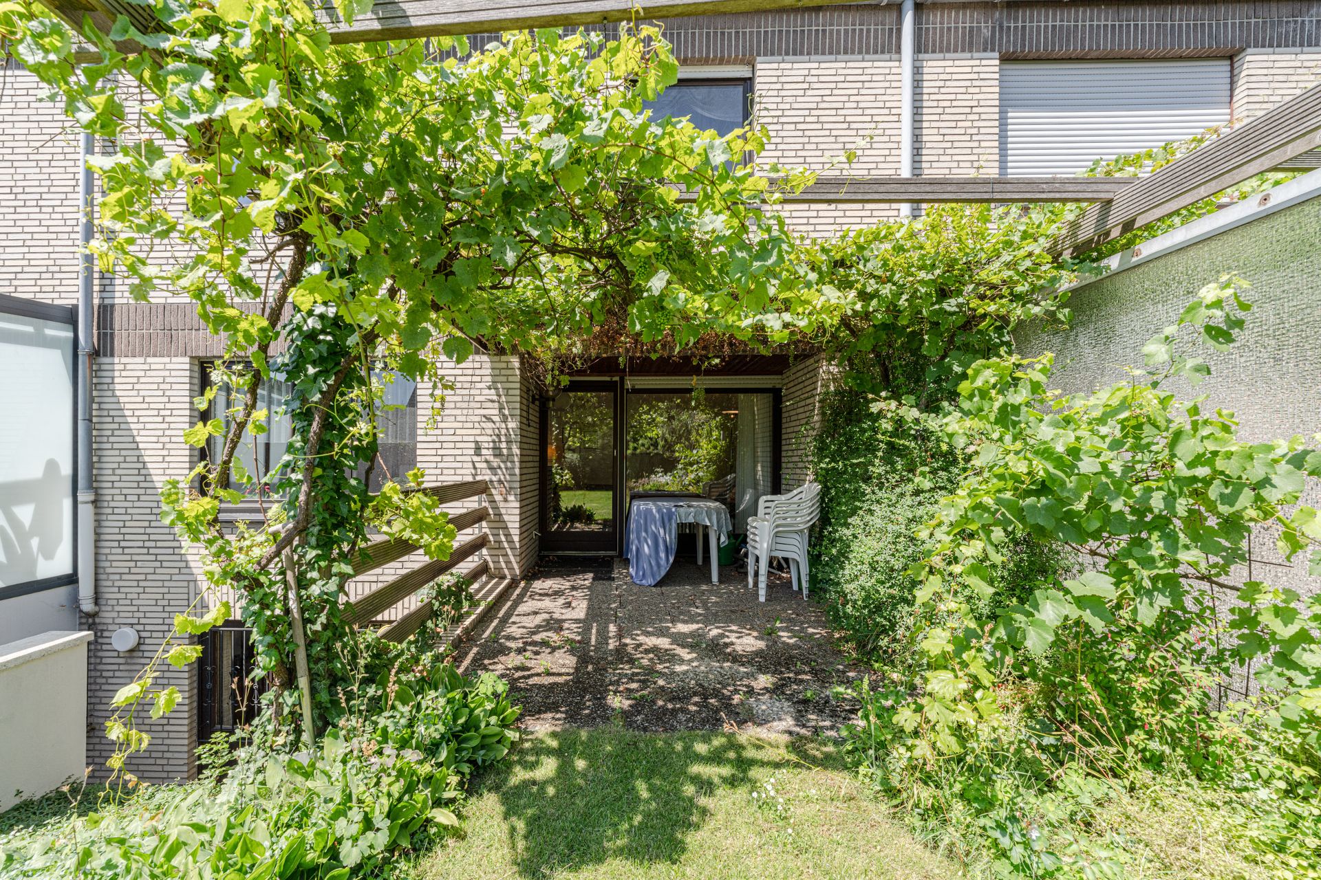 Überdachte Terrasse mit grünem Rankpflanzen, Tisch und Plastikstühlen vor einem Haus.