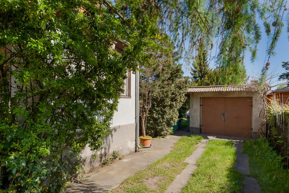 Einfahrt mit Gras und Weg zur Garage, umgeben von Bäumen und Sträuchern.