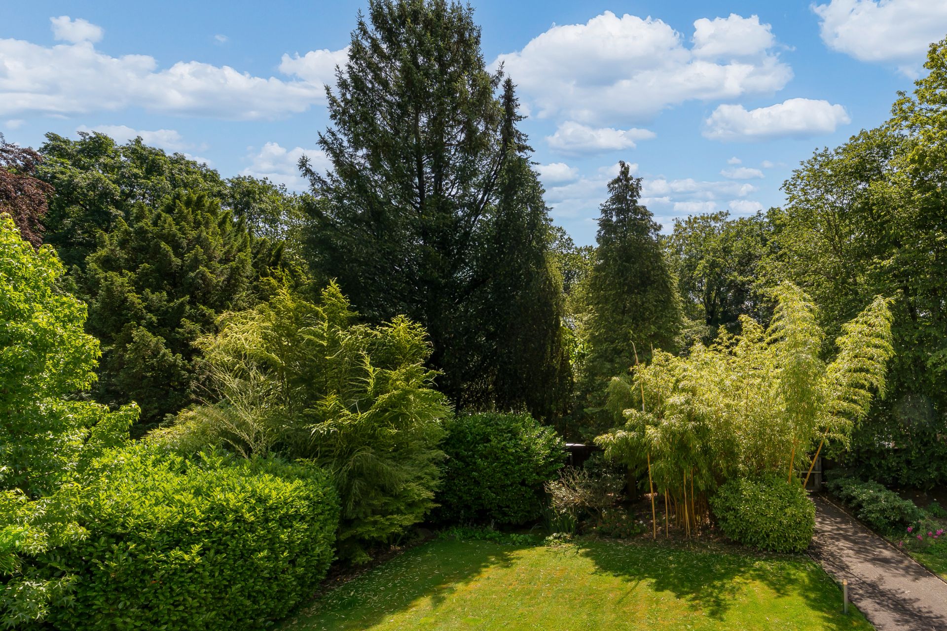 Grüner Garten mit Rasenfläche, verschiedenen Bäumen und einem Weg rechts.