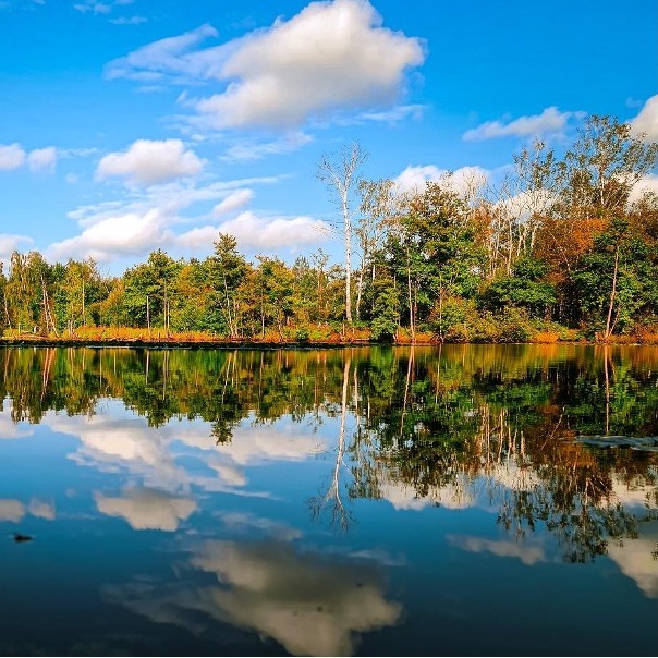 Ein See mit Bäumen am Ufer und wolkigem Himmel, der sich im Wasser spiegelt.