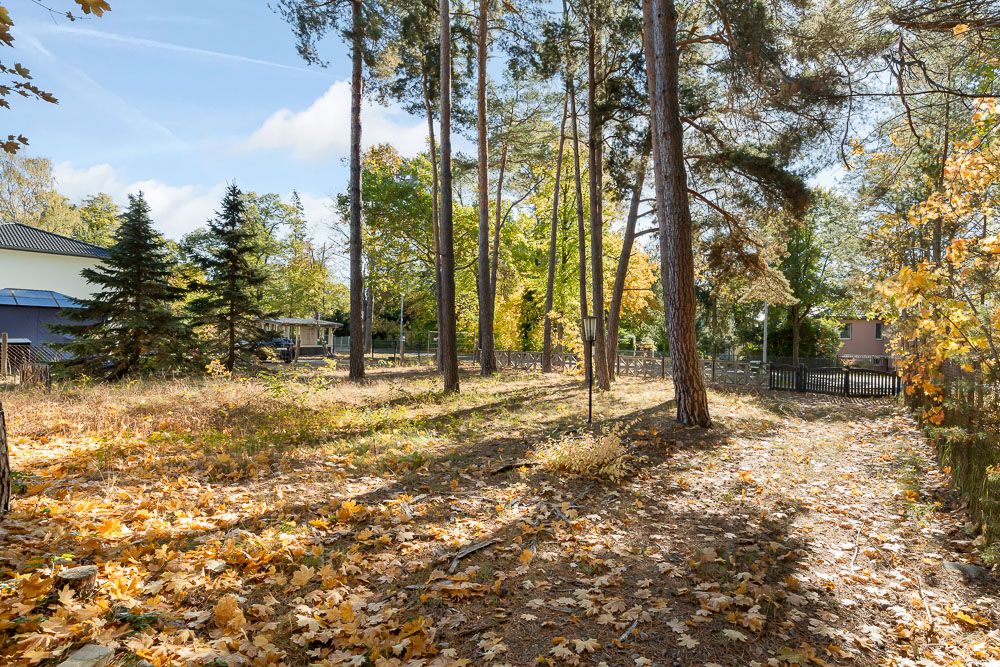 Herbstlicher Garten mit hohen Bäumen und viel gefallenem Laub, daneben Häuser und ein Zaun.
