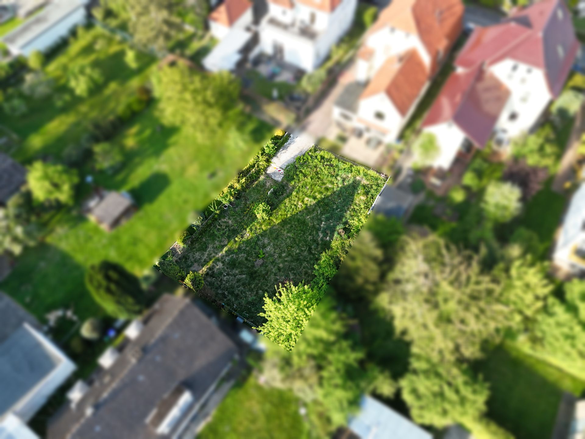 Luftbild eines kleinen, rechteckigen Gartens mit Rasen und Büschen.