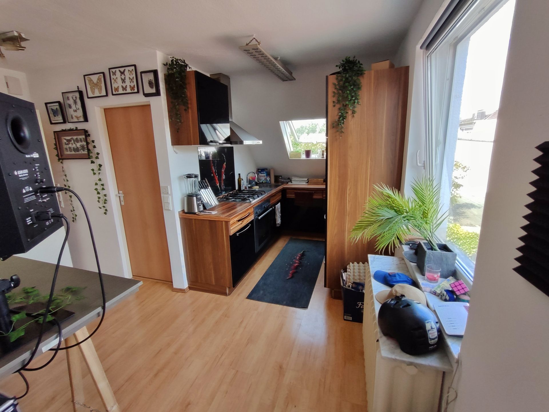 Moderne Küche mit Holzschränken, großem Fenster und Wanddekorationen, Pflanzen auf den Schränken.
