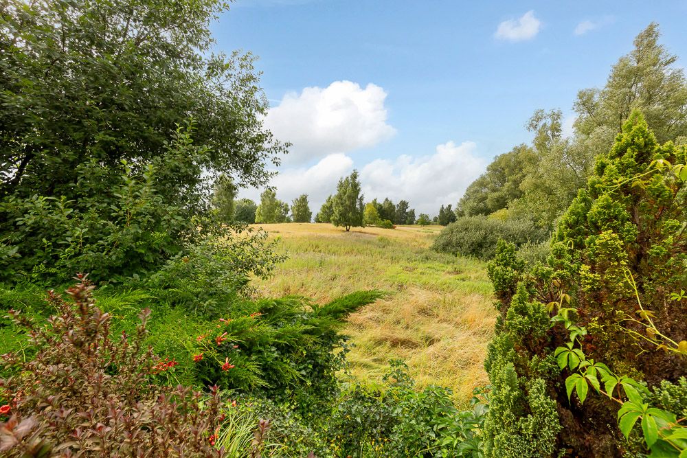 Blick auf eine grüne Wiese mit Bäumen und Sträuchern unter blauem Himmel.