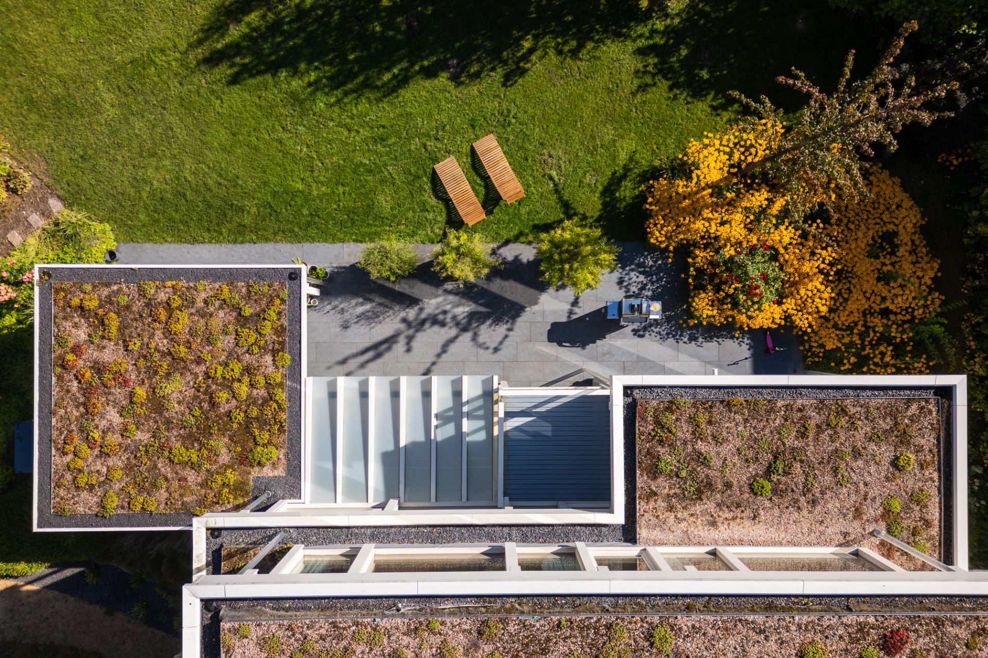Draufsicht auf ein Flachdach mit Begrünung, Terrasse und zwei Liegestühlen im Garten.