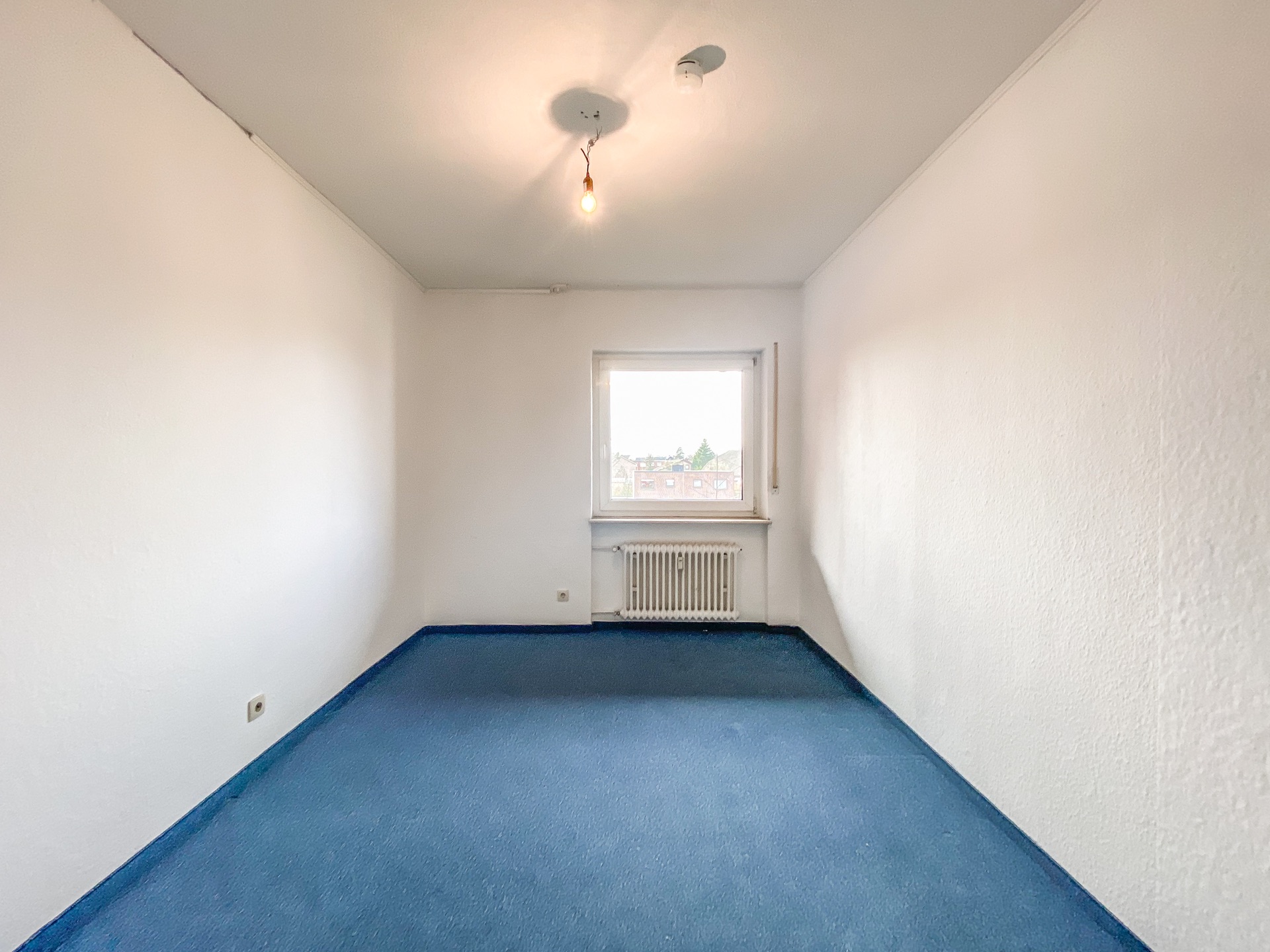Leeres Zimmer mit weiß gestrichenen Wänden, blauem Teppich und Fenster mit Heizkörper darunter.