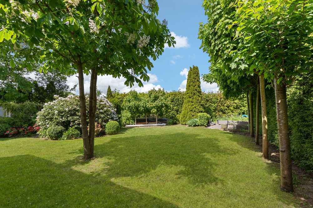 Grüner Garten mit Rasenfläche, Bäumen und Sträuchern an einem sonnigen Tag.