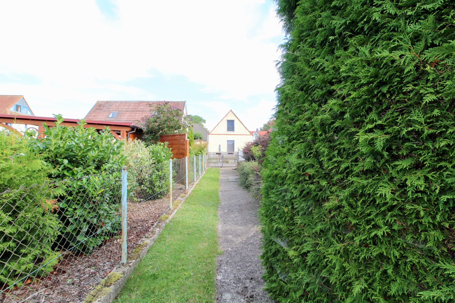Schmaler Weg zwischen grünen Hecken und Gartenzaun führt zu einem Einfamilienhaus mit Spitzdach.