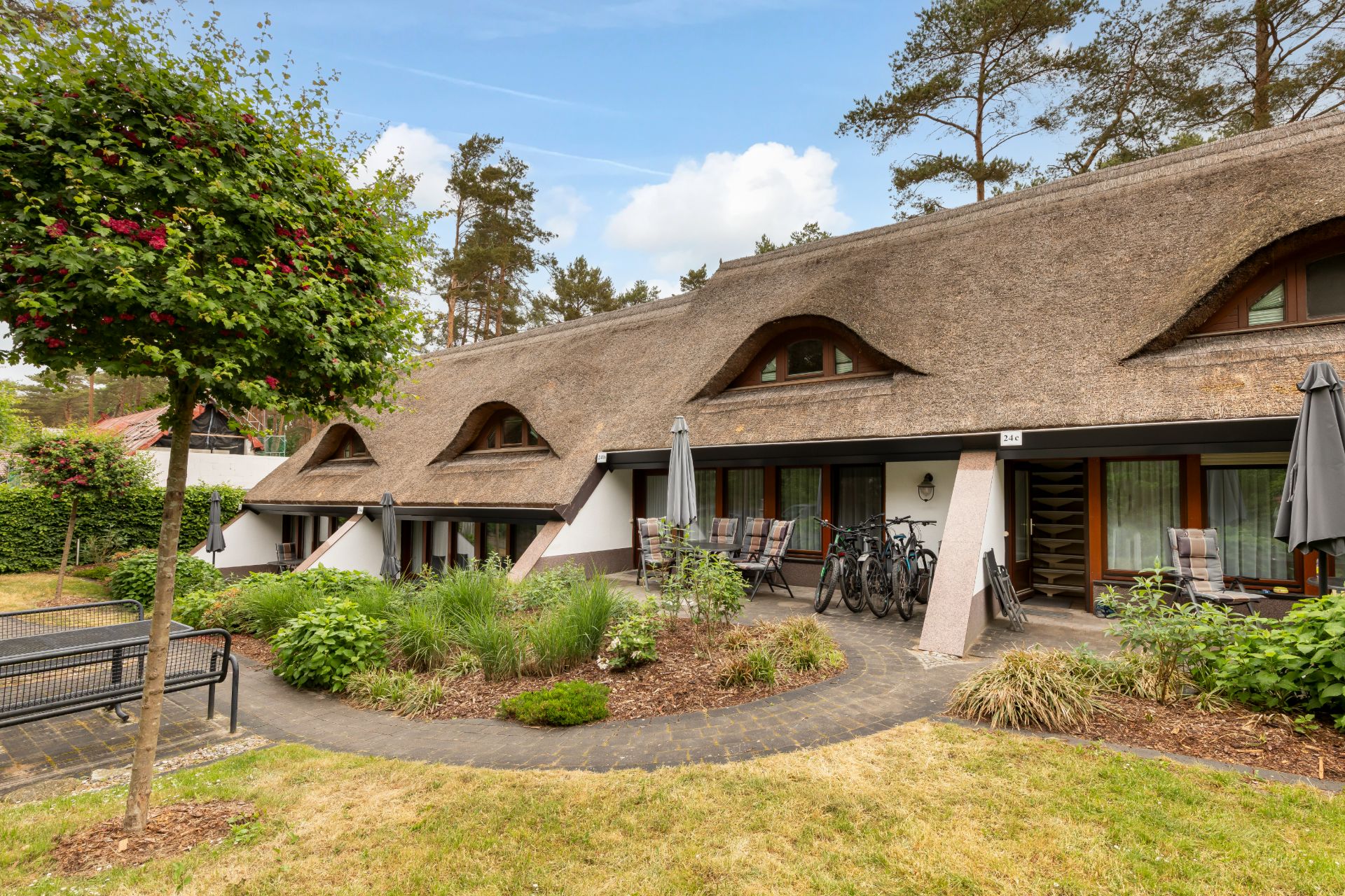 Haus mit Reetdach, Terrasse, Gartenmöbeln, Fahrrädern und vielen Pflanzen vor dem Eingang.