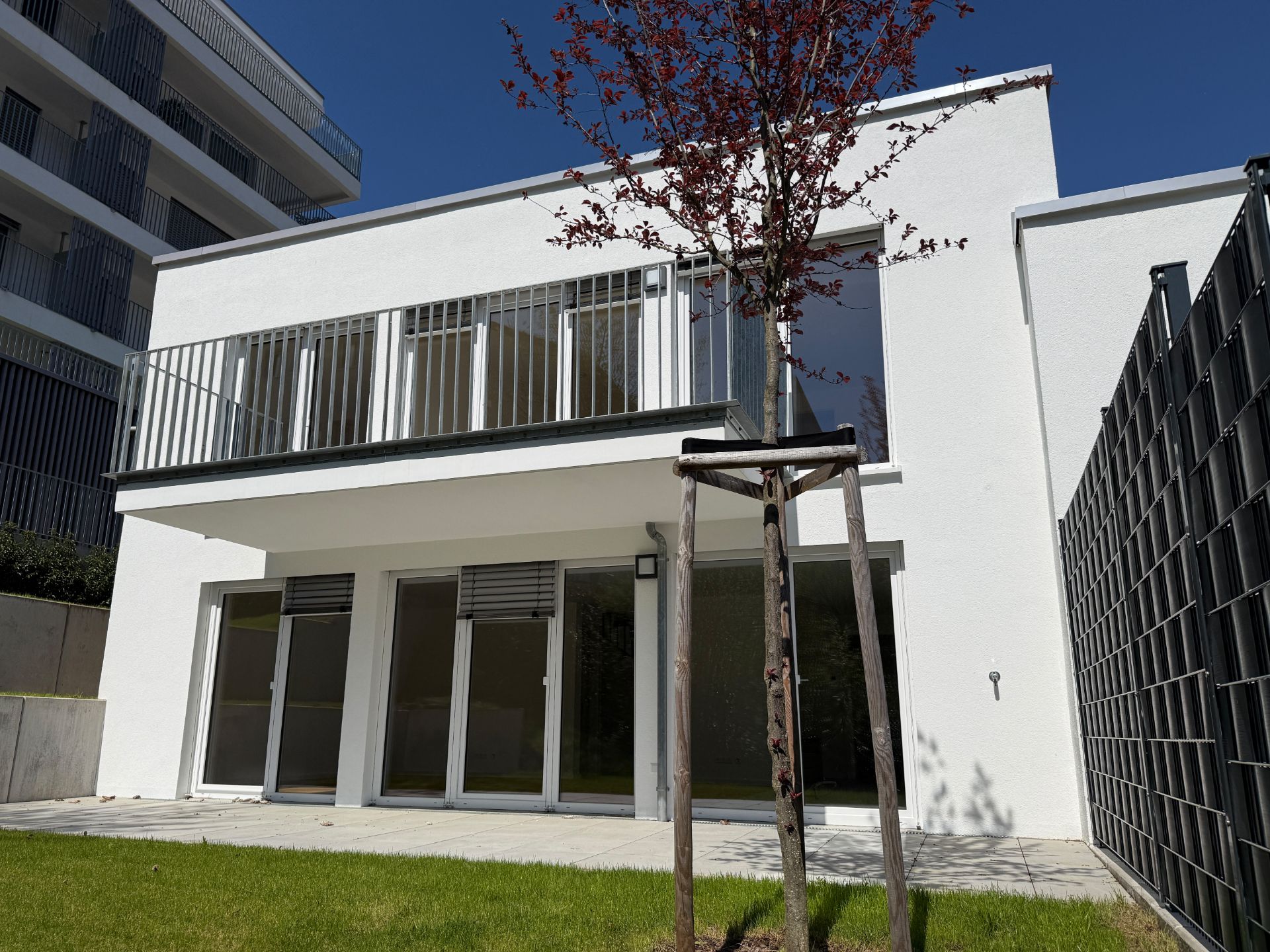 Moderne, weiße Doppelhaushälfte mit Terrasse, Balkon und kleinem Baum im Garten.