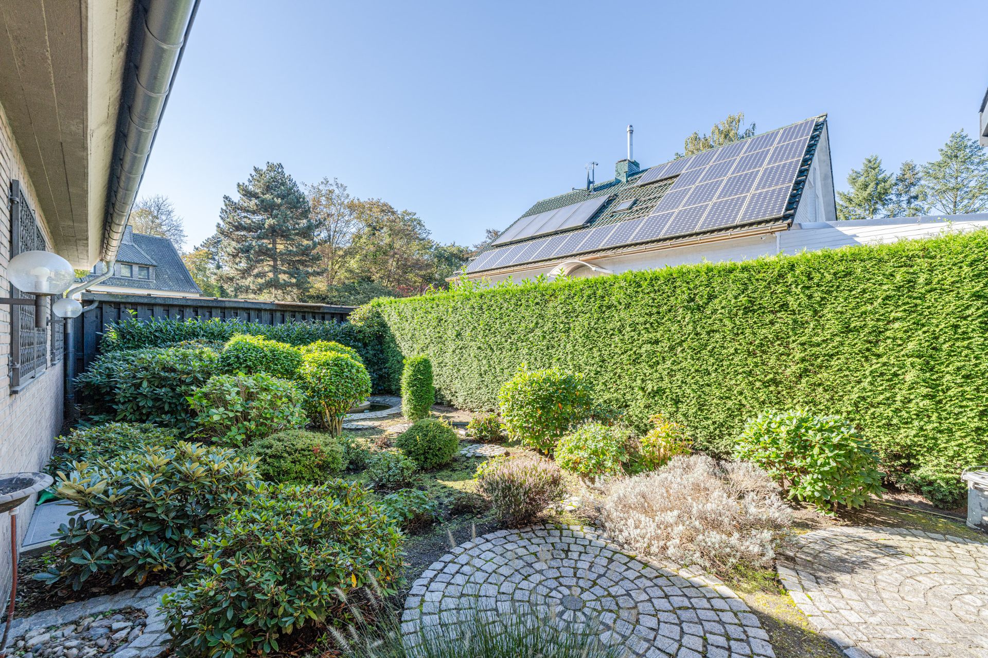 Gepflegter Garten mit runden Pflastersteinen, Sträuchern und hoher grüner Hecke.