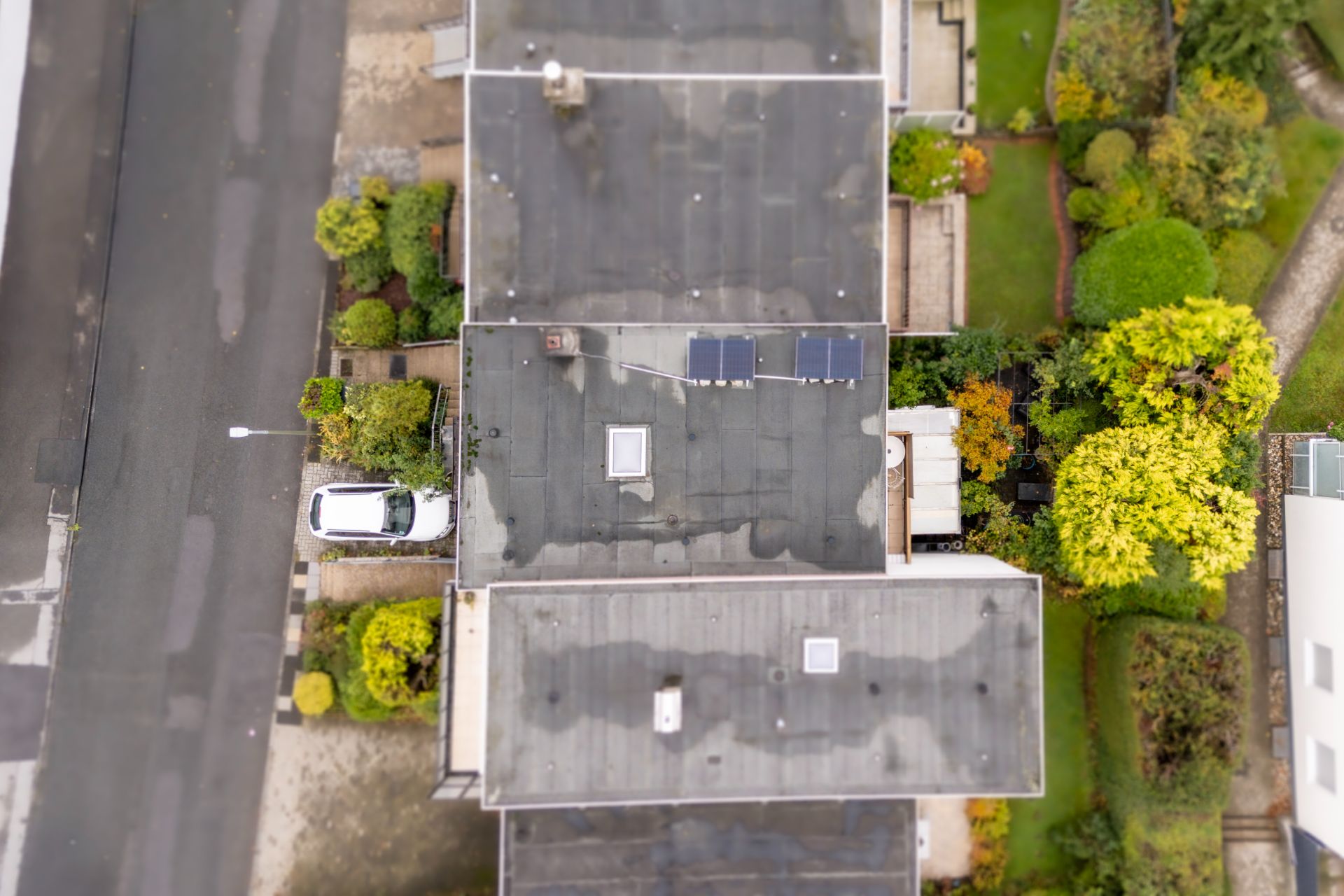 Draufsicht auf ein Wohnhaus mit Flachdach, daneben ein Auto und ein Garten mit bunten Büschen.