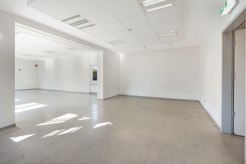 Leerer, heller Raum mit großen Fenstern, weißen Wänden und grauem Boden.