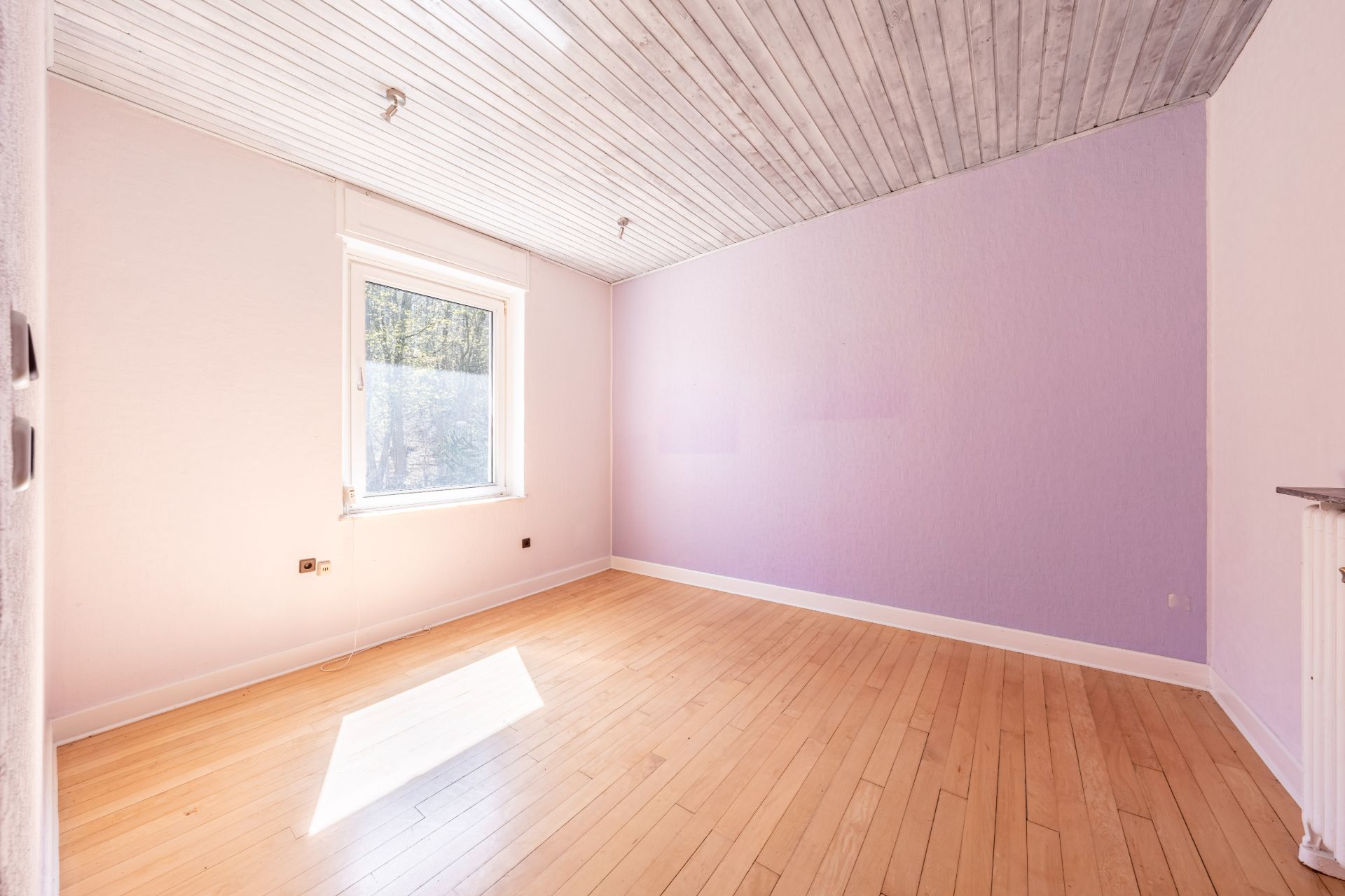 Leerer Raum mit Holzfußboden, lila Wand, Fenster und hellem Holzdeckenpaneel.