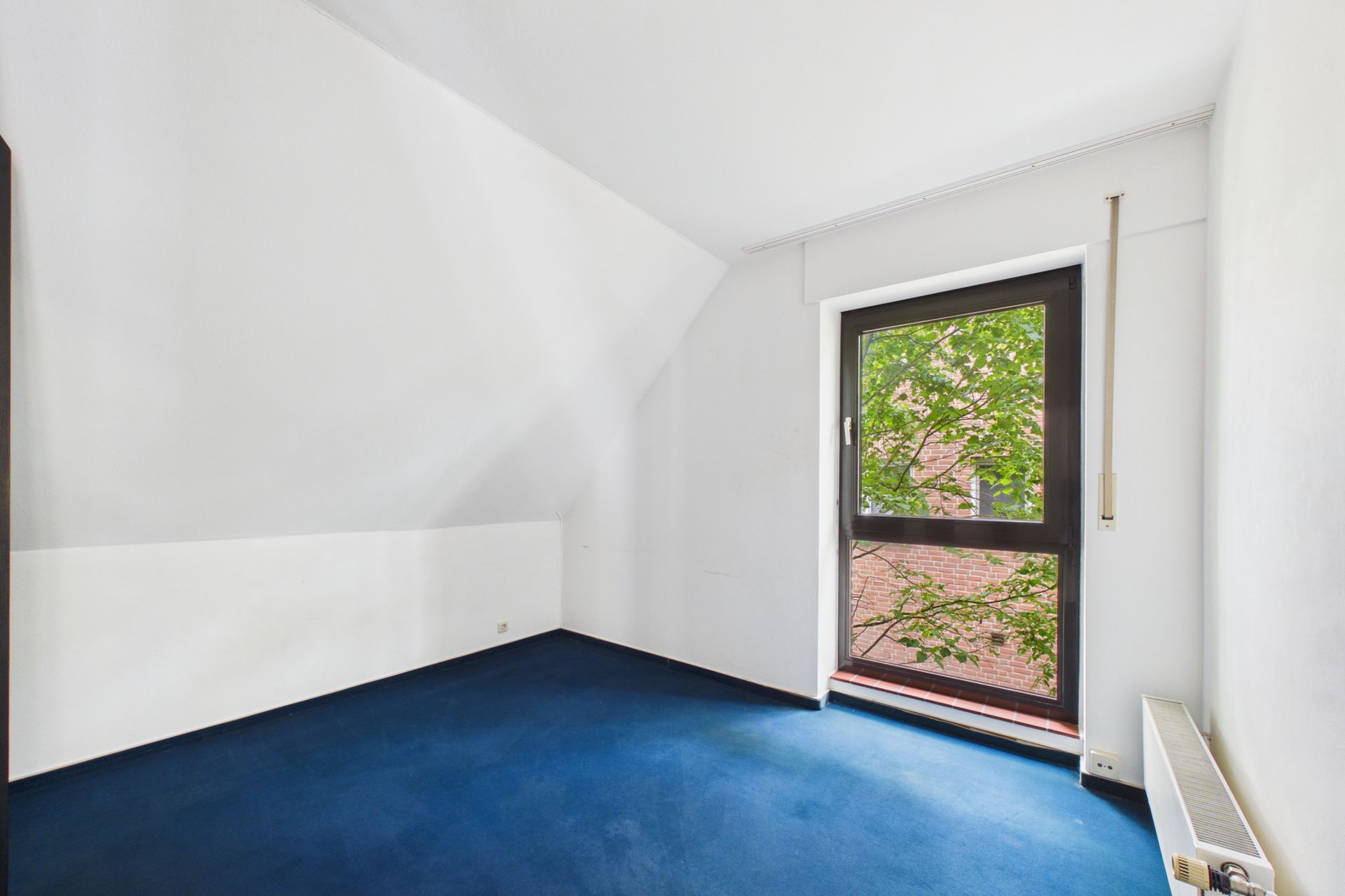 Leeres Zimmer mit weißer Wand, blauem Teppich und großem Fenster, durch das Bäume sichtbar sind.