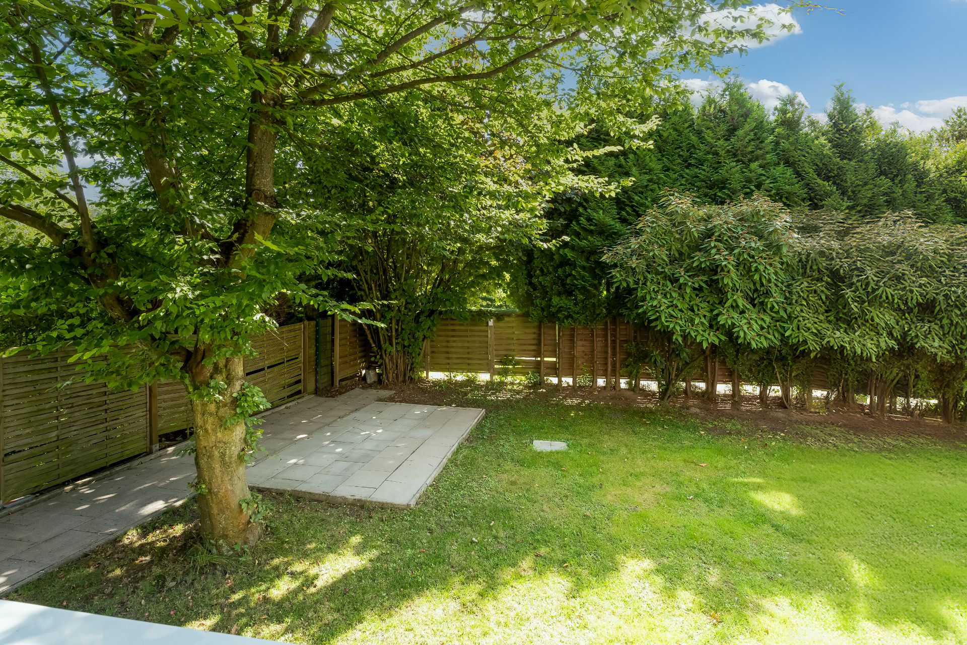 Grüner Garten mit Rasen, Bäumen, Hecke und einer kleinen gepflasterten Terrasse.